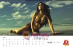 Cloud Nine bikini calendar pictures (4).jpg